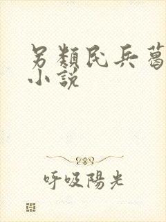 另类民兵葛二蛋小说