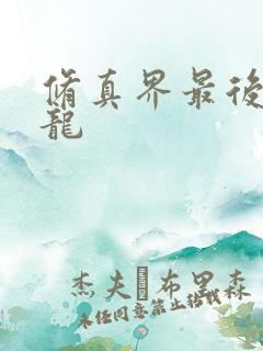 修真界最后一条龙