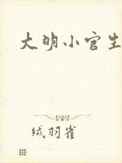 大明小官生活