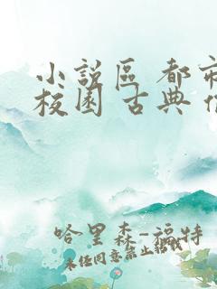 小说区 都市 校园 古典 偷拍