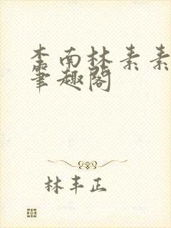 李南林素素小说笔趣阁