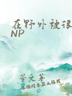 在野外被很多人NP