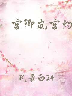 宫卿岚宫灼小说