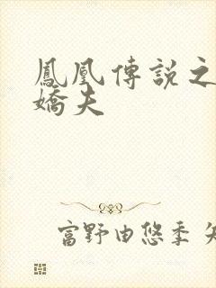 凤凰传说之独宠娇夫