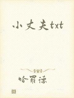 小丈夫txt