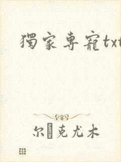 独家专宠txt