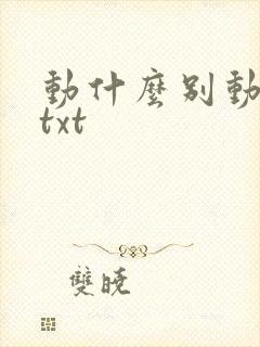 动什么别动感情txt