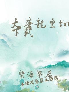 大唐龙皇txt下载