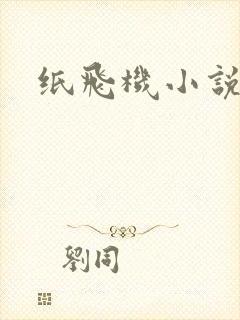 纸飞机小说