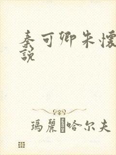 秦可卿朱怀镜小说