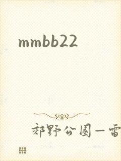 mmbb22