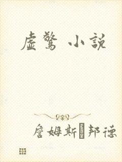虚惊 小说