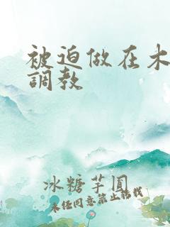 被迫做在木马上调教