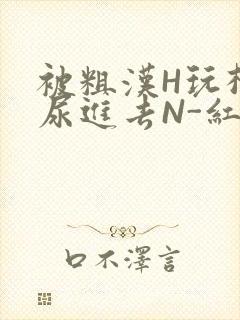 被粗汉H玩松了尿进去N-红-Q