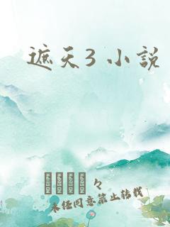 遮天3 小说