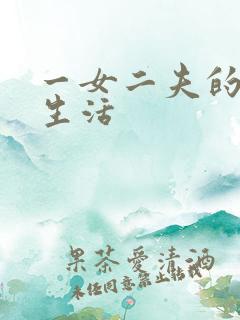 一女二夫的激情生活