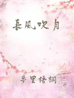 长风吹月