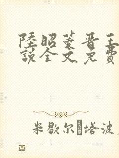 陆昭菱晋王的小说全文免费阅读