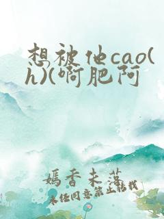 想被他cao(h)(啊肥阿