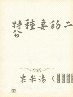 特种妻的二手老公