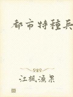 都市特种兵任天