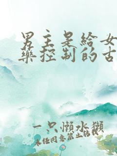 男主是给女主喂药控制的古言