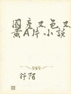 国产又色又爽又黄A片小说