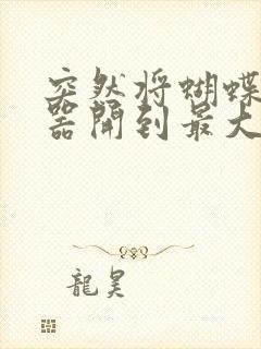 突然将蝴蝶遥控器开到最大