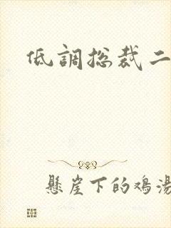 低调总裁二手妻