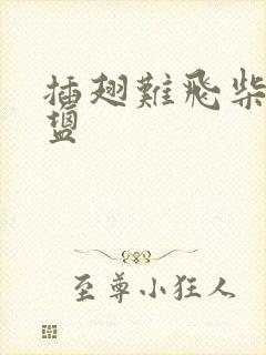 插翅难飞柴米油盐