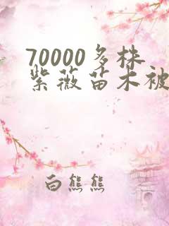 70000多株紫薇苗木被强毁