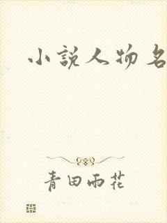小说人物名