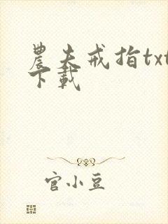 农夫戒指txt下载