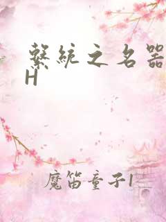 系统之名器勾男H