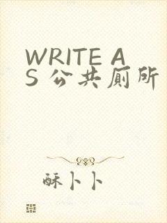 WRITE AS 公共厕所