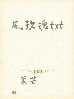 风玫瑰txt