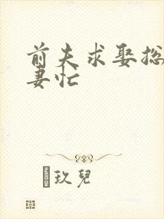 前夫求娶总裁追妻忙