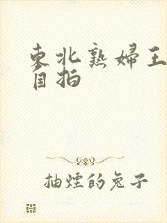 东北熟妇王梅娟自拍