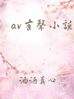 av有声小说