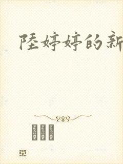 陆婷婷的新故事