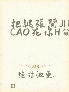 把腿张开JI巴CAO死你H公园