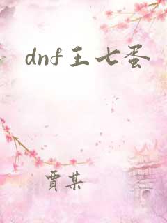 dnf王七蛋