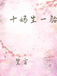 十妈生一胎