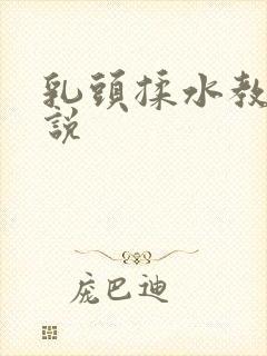 乳头揉水教室小说