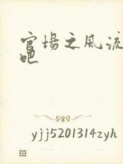 官场之风流人生吧