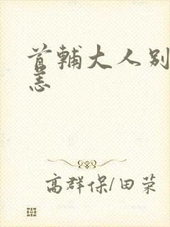 首辅大人别来无恙