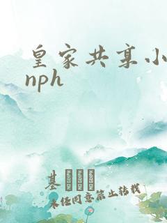 皇家共享小公主nph