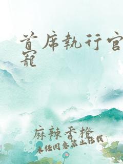 首席执行官的绝宠