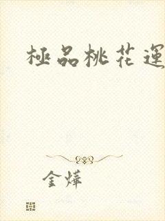 极品桃花运下载