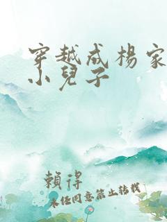 穿越成杨家将最小儿子